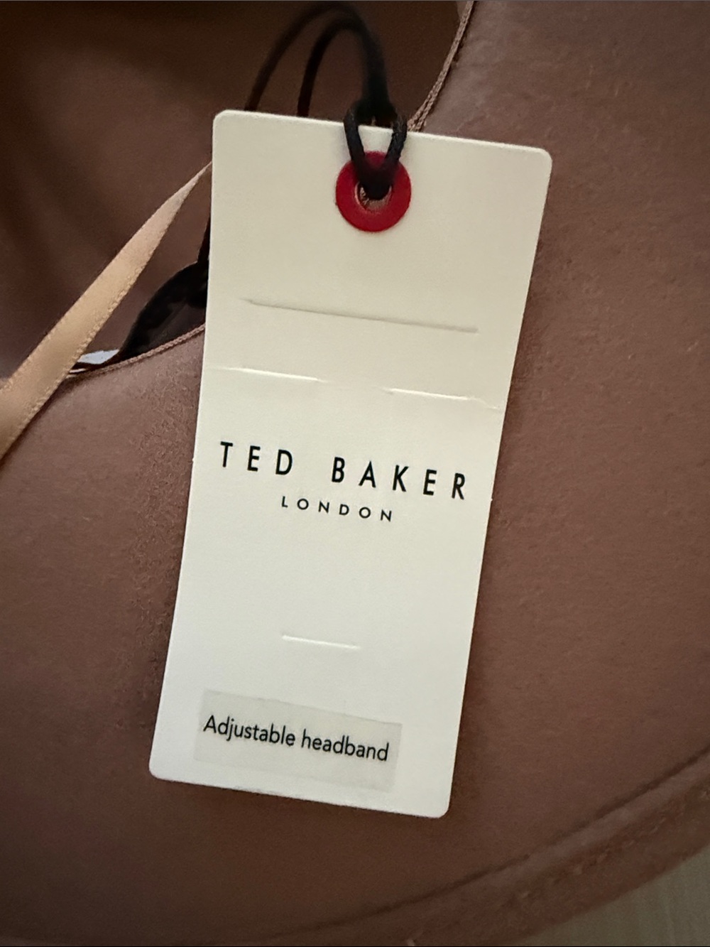 Ted Baker Abbiiio Bow Wool Wide-Brim Felt Fedora in Dark Brown - Picture 3 of 11